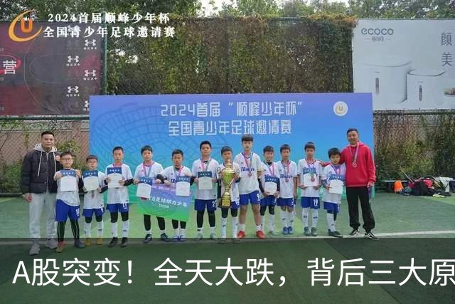 A股突变！全天大跌，背后三大原因曝光